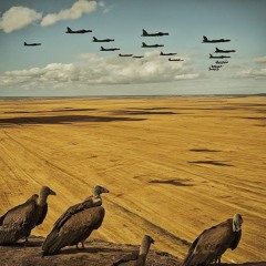 bombs over vultures