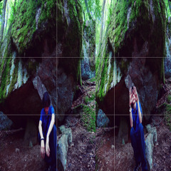forest walk