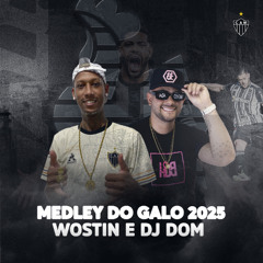 MEDLEY DO GALO 2025 - DJ DOM E WOSTIN
