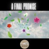 Download Video: A Final Promise