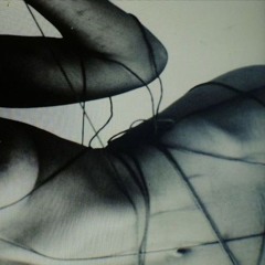 fluid