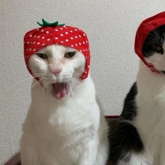 why am i so in love.m4a