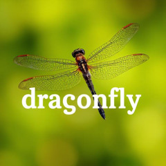 Dragonfly..test .w.vocals