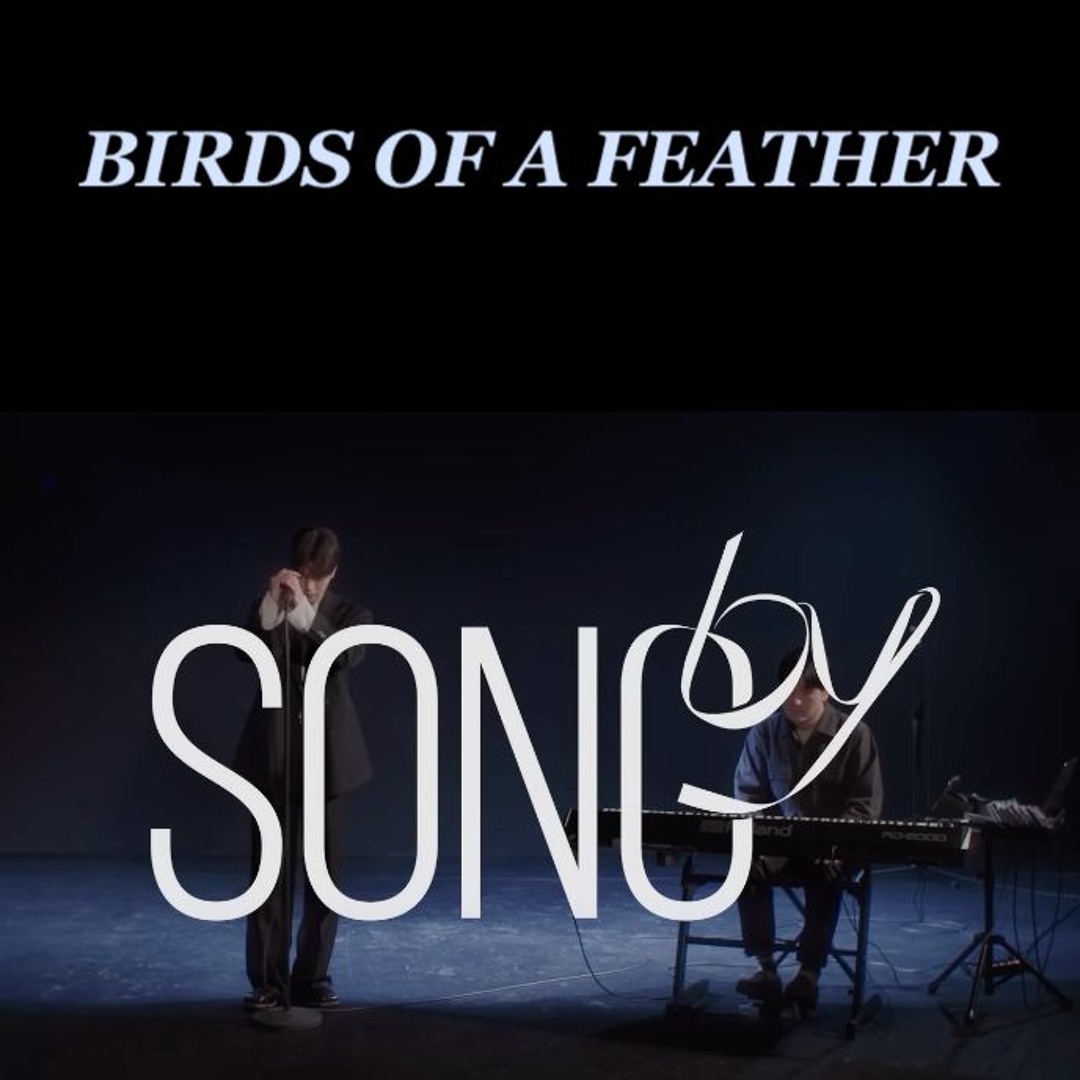 8月20日削除！ BIRDS OF A FEATHER 142 goose-feathers-7-8-12-pcs-fire
