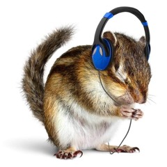 Draco (songwars)