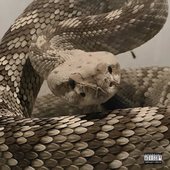 The Serpent That Kills