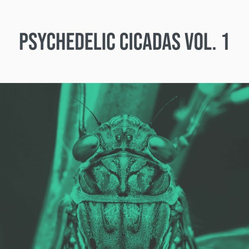 Stream Psychedelic Cicadas Vol. 1 Demo Track by 344 Audio Listen