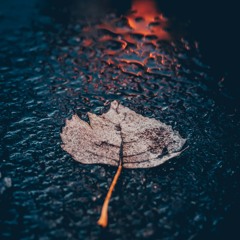 (っ◔◡◔)っ ♥ Otoño 2 0 2 5 🍂