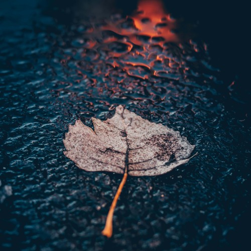 (っ◔◡◔)っ ♥ Otoño 2 0 2 5 🍂