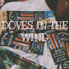Doves In The Wind- remix