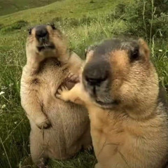 DJ TABOLA BALE RADYA SOPAN SOUND BRAM FT AP VIRAL TIKTOK 2025