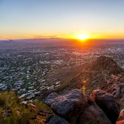 Phoenix Sunrise