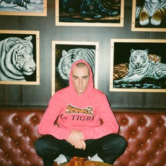 —¤÷(`[¤» Le (¯`·._) Tïg®€ ¨‘°ºO Mix ††† ¤] ´)÷¤—