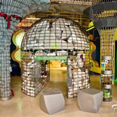 Best Fun Things To Do In Broward County Florida Tours Review