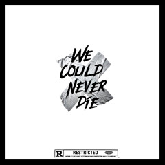 we Could Never Die (Freestyle)