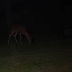 disconnect (tiresss)