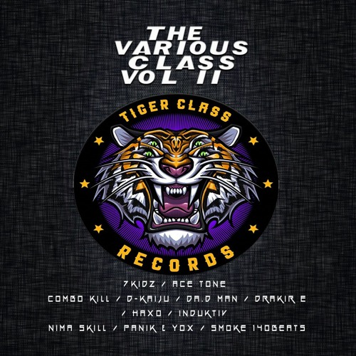 [Premiere] Ace Tone - Next Steppa (out on Tiger Class Records)