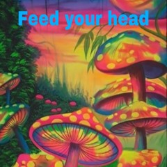 Feed your head