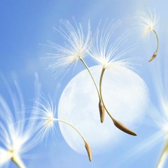 SEVENTEEN(세븐틴)SEUNGKWAN(승관) - 민들레(DANDELION)