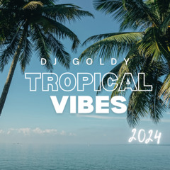 Dj Goldy - Tropical Vibes (Mix Chill)