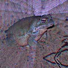 Tynan - Frogs On Acid - Remix