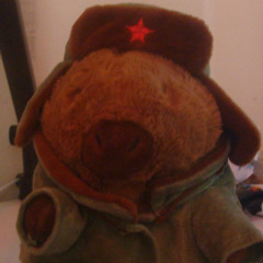 我的卡皮巴拉 (My Capybara)
