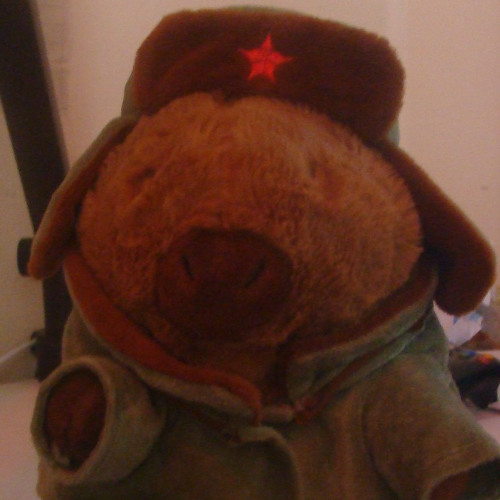 我的卡皮巴拉 (My Capybara)