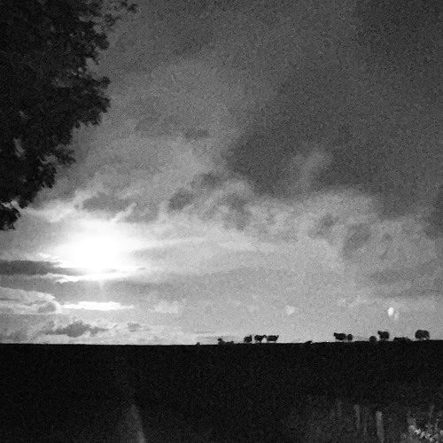 Hard East Frisian Autumn