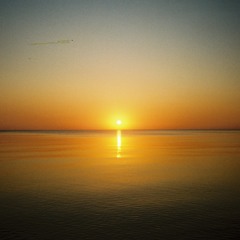 SAULĖLYDŽIAI JUODKRANTĖJE