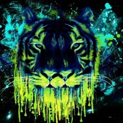 PATRA - JUNGLE:D&B