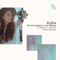 A Tribe Called Kotori - A Psychedelic Live Stream with Elif