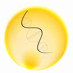 Freedom Teachings (with Apoorva) [2 Of 3]