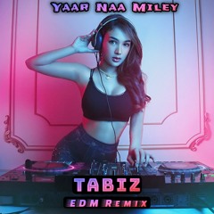 Yaar Naa Miley (TaBiz EDM Remix) Yo Yo Honey Singh X TaBiz