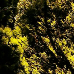 100 bpm smash riff full