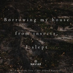 naviarhaiku374: borrowing my house