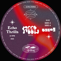 url & Echo Thrills - Fool