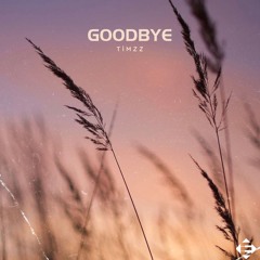 TimZz – Goodbye (Original Mix)