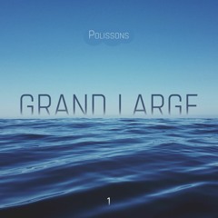 GRAND LARGE #1