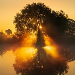 Made To Fade Ft. michelcMusic