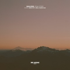Soulfeed - Peak Story (Mauro Masi Remix) [3rd Avenue]