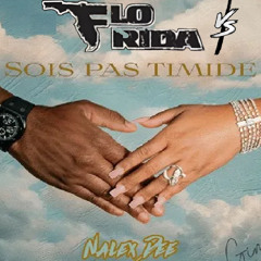 Low X Sois Pas Timide (Neeto Mashup) 🔥🎶
