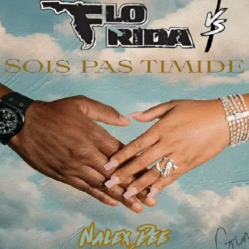Low X Sois Pas Timide (Neeto Mashup) 🔥🎶