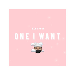 One I Want (Prod. by BRAYDEN)