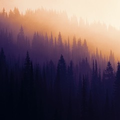 Whitewildbear  - Closer