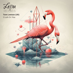 Tom Lawson (UK) - Trick Me (Original Mix)