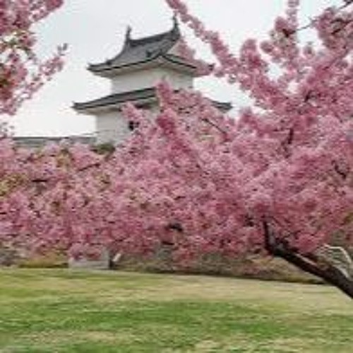 24k Goldn - Nickelback (Mood x How you remind me )