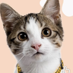 Chilling with Jesus - 2