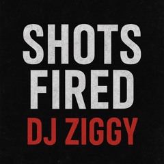 DJ ZIGGY - SHOTS FIRED [HARD TECHNO/INDUSTRIAL]