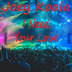 Joey Koala - I Need Your Love