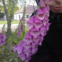 [l-only1ne]-digital iz